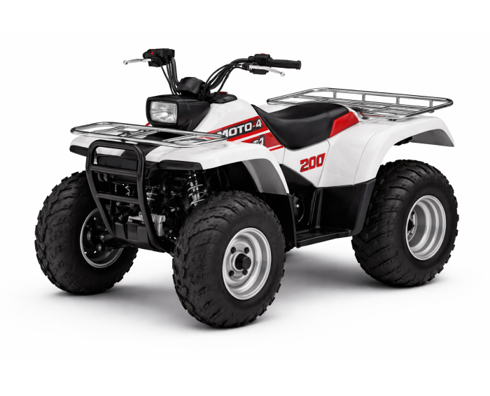Yamaha Moto-4 200