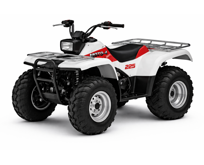 Yamaha Moto-4 225