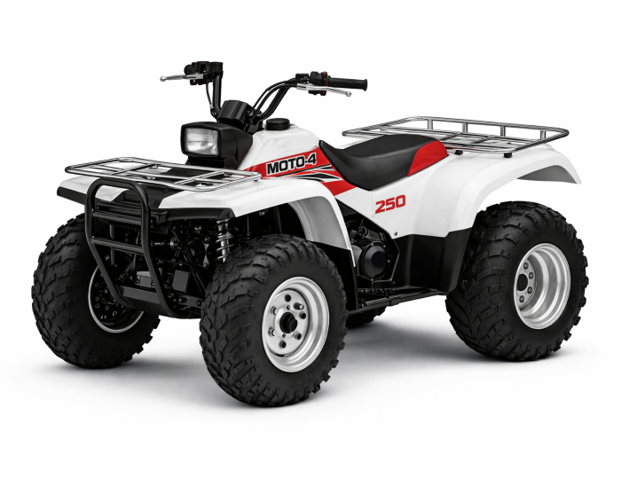 Yamaha Moto-4 250