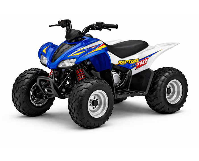 Yamaha Raptor 110