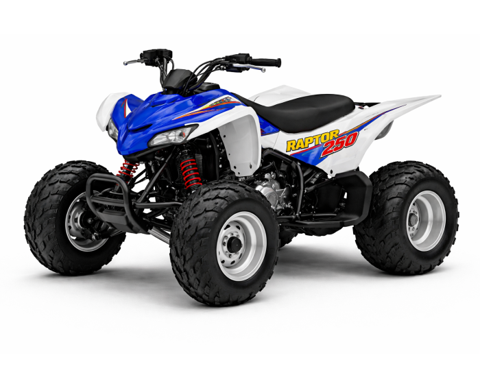 Yamaha Raptor 250