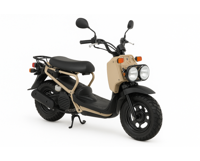 Honda Ruckus 50