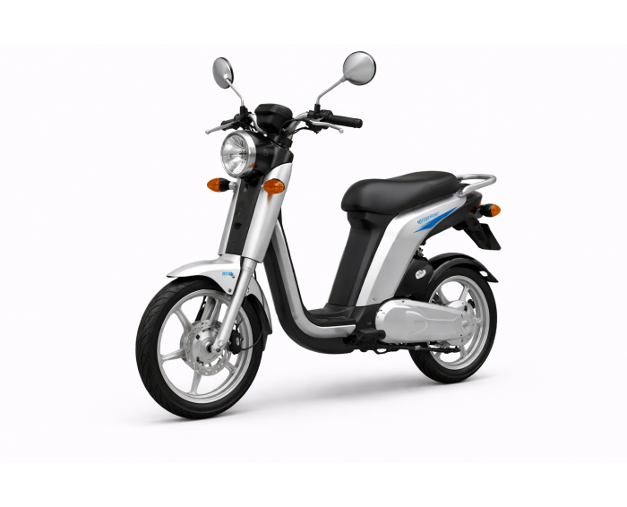 Yamaha EC-03 Electric