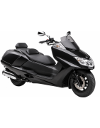 Yamaha Maxam 250