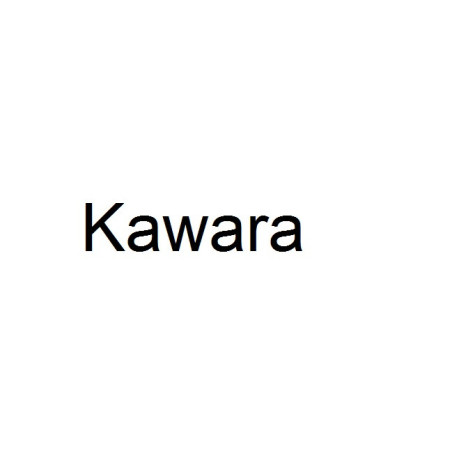 Scooters Kawara