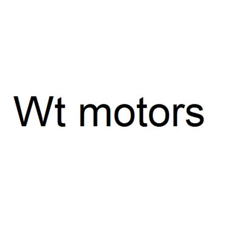 Scooters Wt motors