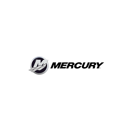 Hors Bord Mercury 100 HP