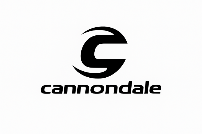 Cannondale E 440