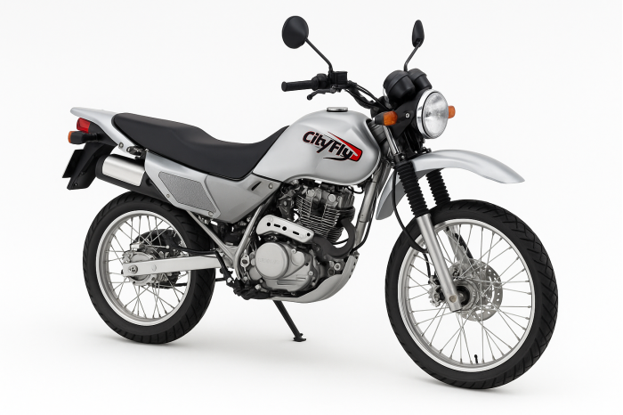 Honda CLR 125 City Fly