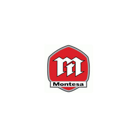 Motos Montesa Evasion 260