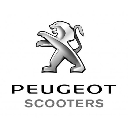 Motos Peugeot XP6 50