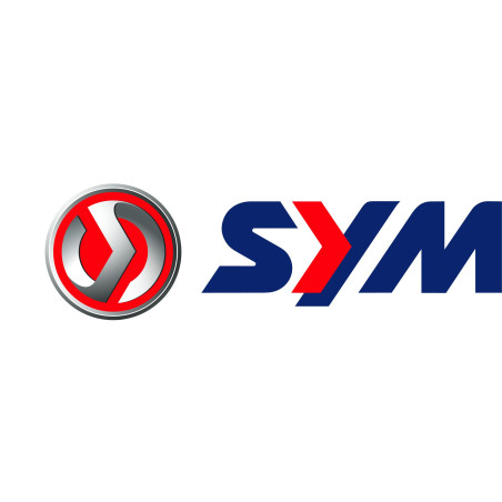 Motos Sym XS 125