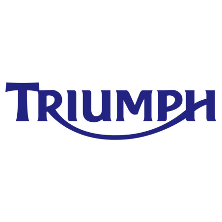 Motos Triumph Thruxton 1200