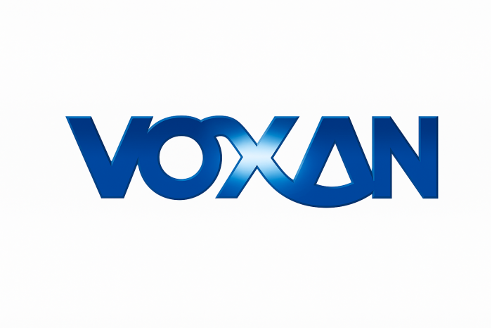 Voxan Cyclope 1000