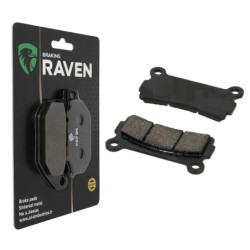 Plaquettes de frein Arrière...